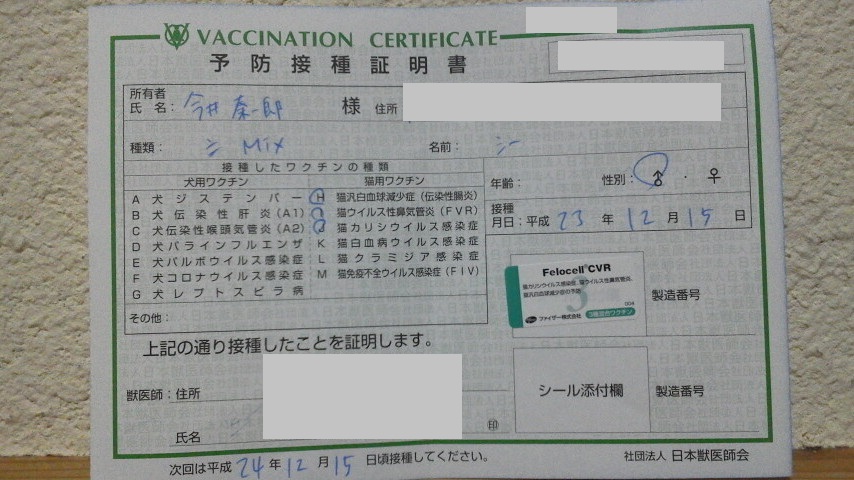 12/15 CC、動物病院へ行くの巻