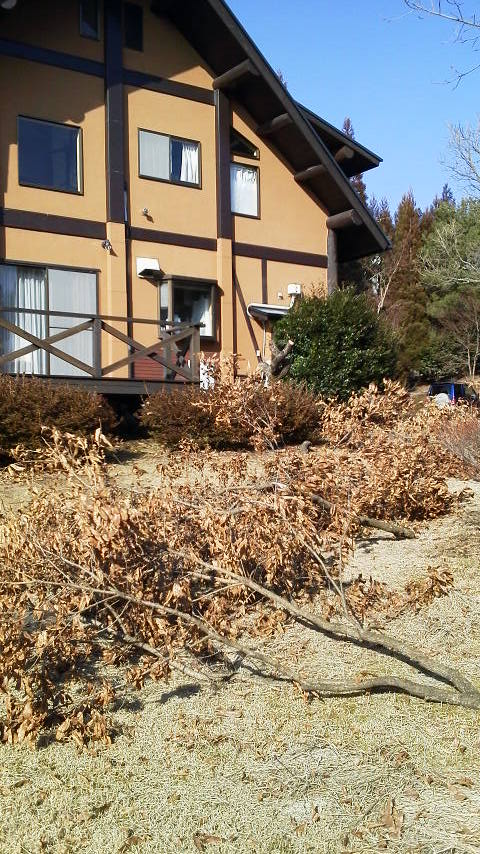 2/3 やっぱり自然の中での作業は気持ちいい!!