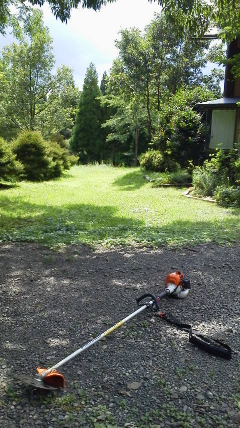 お休みということで、草刈りを開始するも・・・