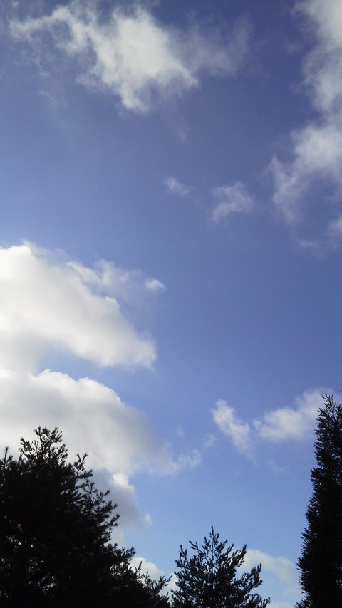 今年も、聞こえる、つながる、感じる