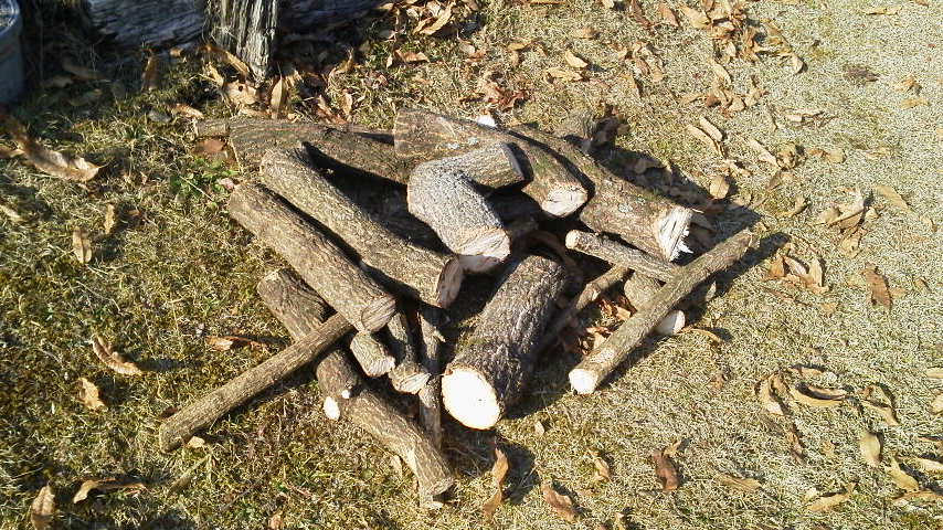 2/3 やっぱり自然の中での作業は気持ちいい!!