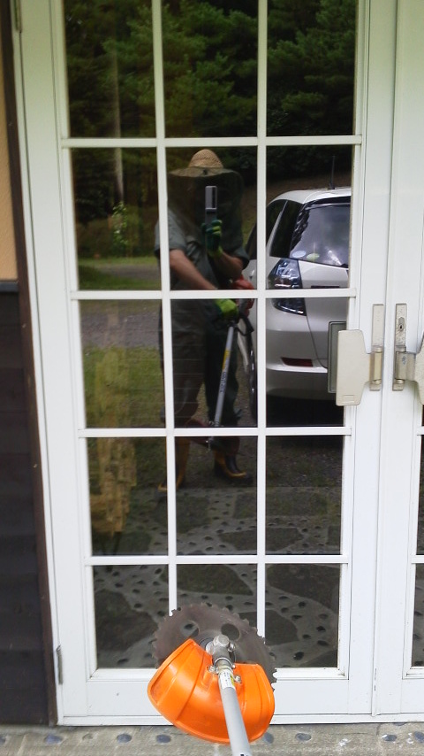 草刈りを開始するも・・・