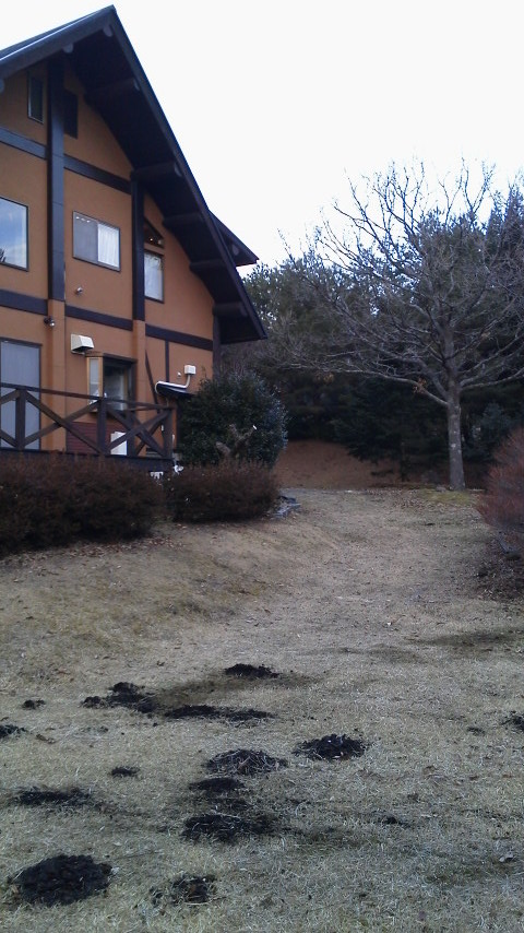 2/3 やっぱり自然の中での作業は気持ちいい!!