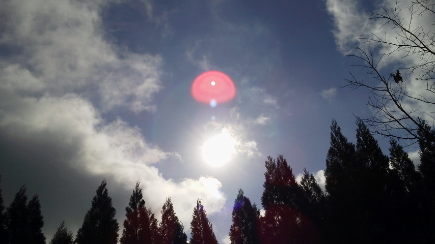 今年も、聞こえる、つながる、感じる