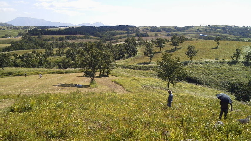 今度は緑の阿蘇をご満喫!!