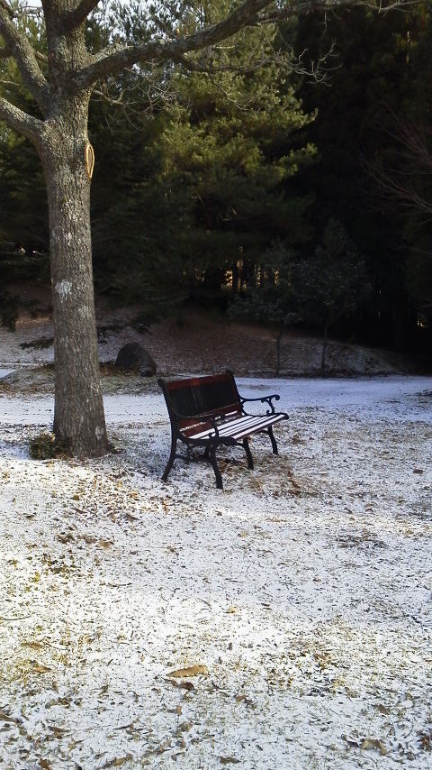 今年も、聞こえる、つながる、感じる