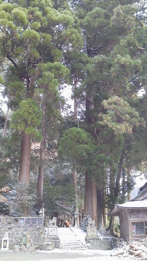 大雪のなかの初詣