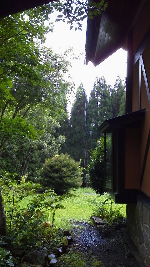 草刈りを開始するも・・・