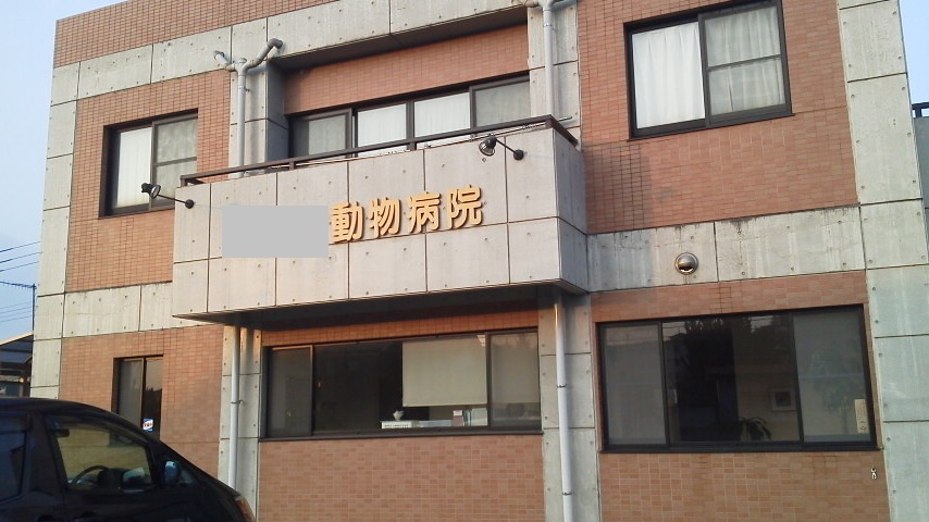 12/18 CC動物病院へ行く