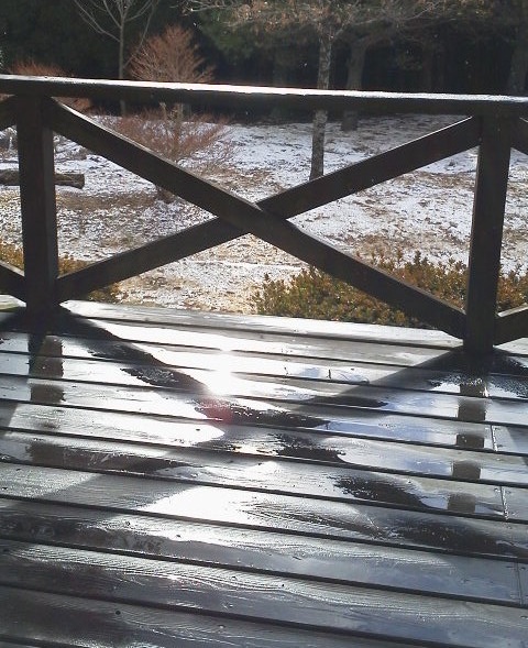 今年も、聞こえる、つながる、感じる