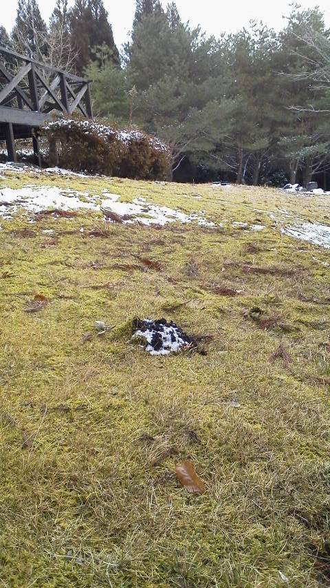 プロジェクト~声 待ってるよ・・・