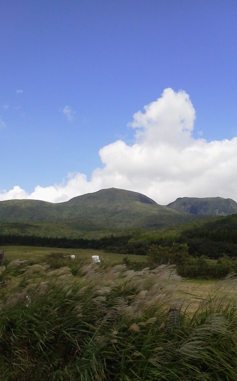 嵐ととともに京都から2