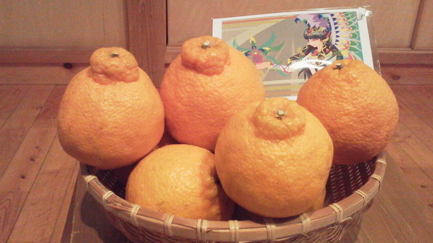 1/10 ガマンの一日