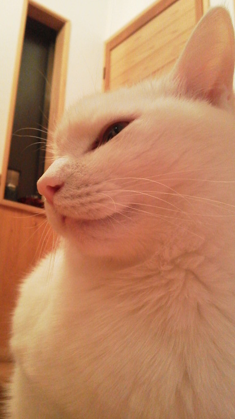 12/18 CC動物病院へ行く