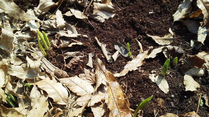 もうすぐ春です!!