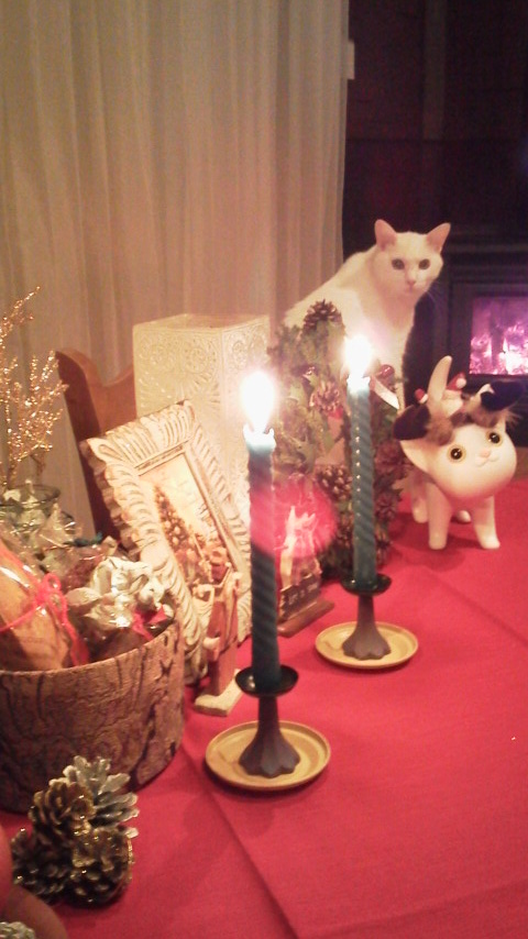 12/23~25 九州で雪国体験!?波乱の仕事納め