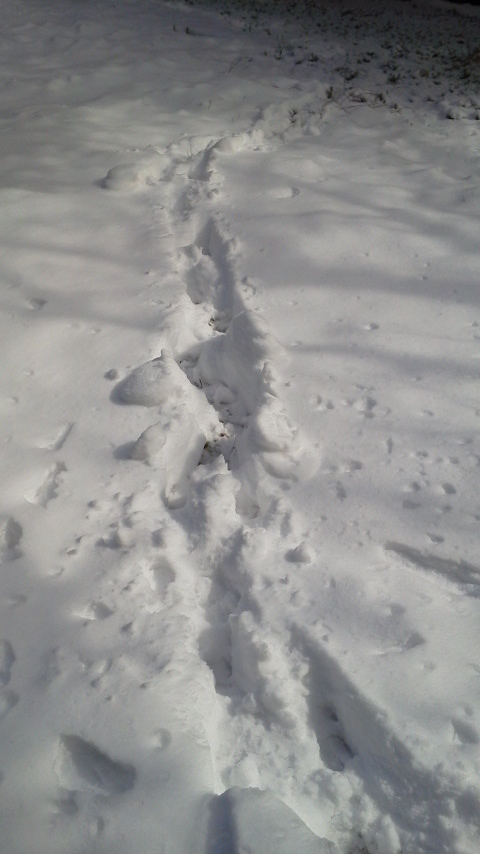 坂本政道さんとの再会