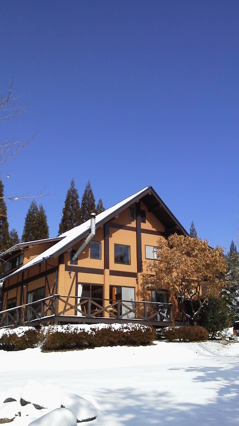 坂本政道さんとの再会