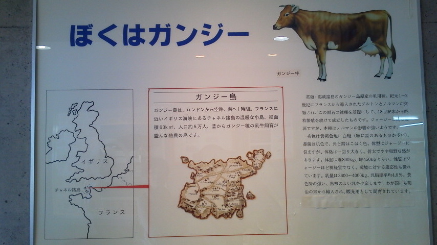 嵐とともに京都から2