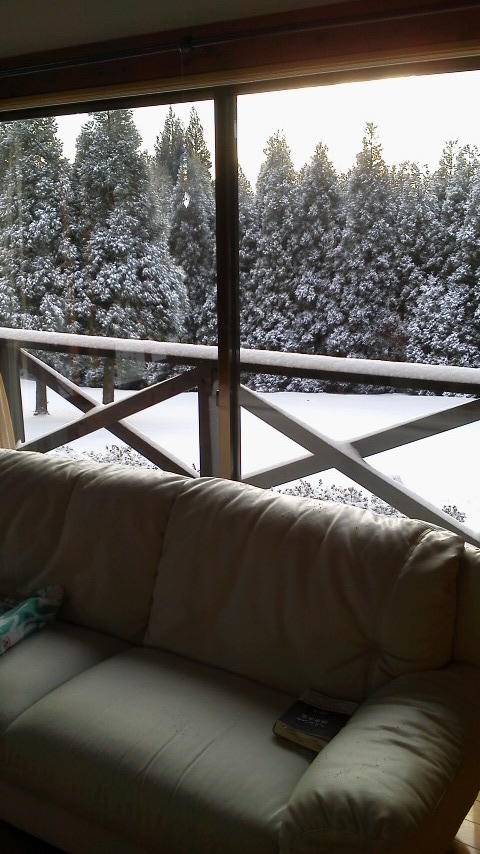 大雪のなかの初詣