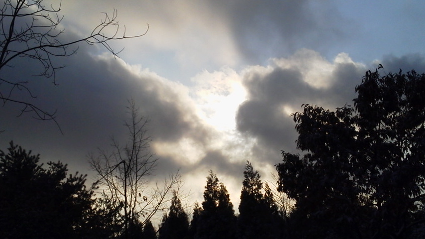 大雪のなかの初詣